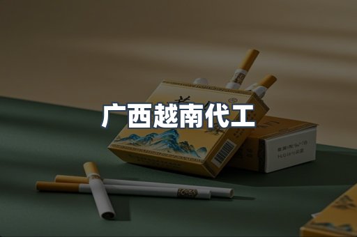 广西越南代工